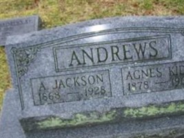 Andrew Jackson Andrews Andrew Jackson Andrews