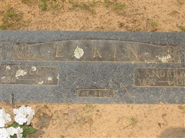 Andrew Jackson Eakin