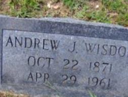 Andrew Jackson Wisdom Andrew Jackson Wisdom