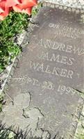 Andrew James Walker