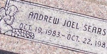 Andrew Joel Sears