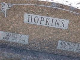 Andrew John Hopkins, Jr