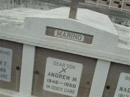 Andrew M. Marino