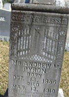 Andrew M. Pyron Andrew M. Pyron