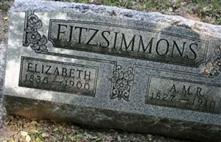 Andrew "Lee" Madison Raplee Fitzsimmons