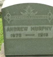 Andrew Murphy