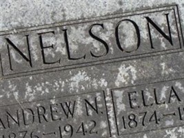 Andrew N Nelson Andrew N Nelson