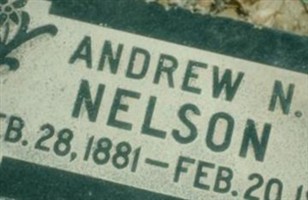 Andrew N Nelson Andrew N Nelson