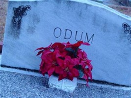 Andrew Odum