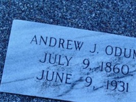 Andrew Odum