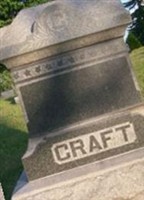 Andrew P Craft
