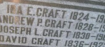 Andrew P Craft
