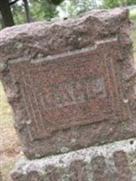 Andrew P Dahl