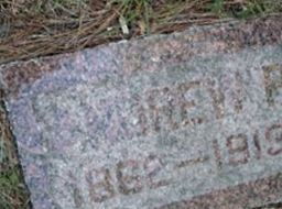 Andrew P Dahl