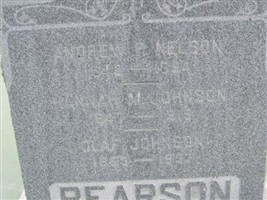 Andrew P Nelson Andrew P Nelson