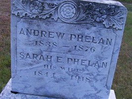 Andrew Phelan