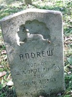 Andrew Phipps