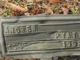 Andrew Pyatt