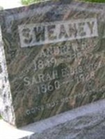 Andrew Rufus Sweaney