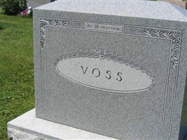 Andrew S. Voss Andrew S. Voss