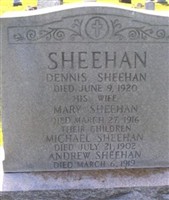 Andrew Sheehan