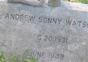Andrew Sonny Watson