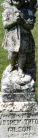 Andrew Theodore Gilson Andrew Theodore Gilson