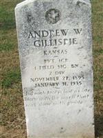 Andrew W Gillispie