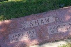 Andrew W. Shaw Andrew W. Shaw