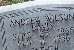 Andrew Wilson Davis