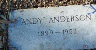 Andy Anderson