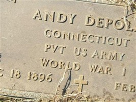 Andy Depola