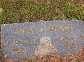 Andy F Burns