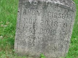 Andy Gibson