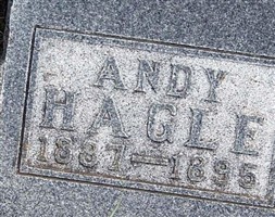 Andy Hagle