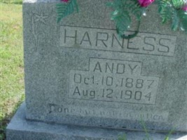 Andy Harness Andy Harness