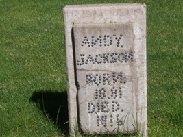 Andy Jackson Andy Jackson
