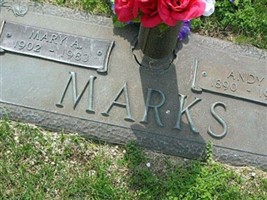 Andy L Marks