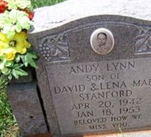Andy Lynn Stanford Andy Lynn Stanford