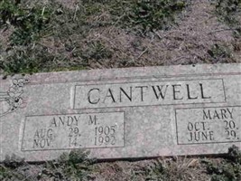 Andy M Cantwell