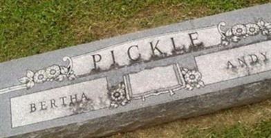 Andy Pickle