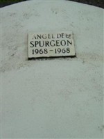 Angel Dee Spurgeon Angel Dee Spurgeon