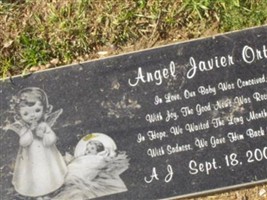 Angel Javier Ortiz Angel Javier Ortiz