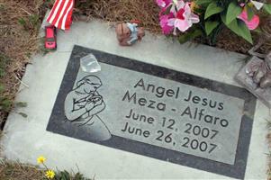 Angel Jesus Meza-Alfaro