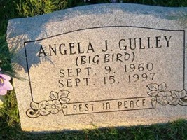 Angela Joy Gulley