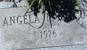 Angela L. Falcon Angela L. Falcon