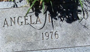 Angela L. Falcon