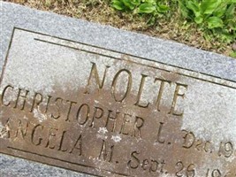 Angela M Nolte