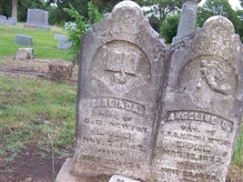 Angeline D Newton
