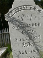 Angeline Elizabeth Kellogg Tucker